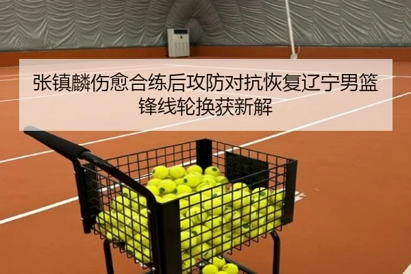张镇麟伤愈合练后攻防对抗恢复辽宁男篮锋线轮换获新解